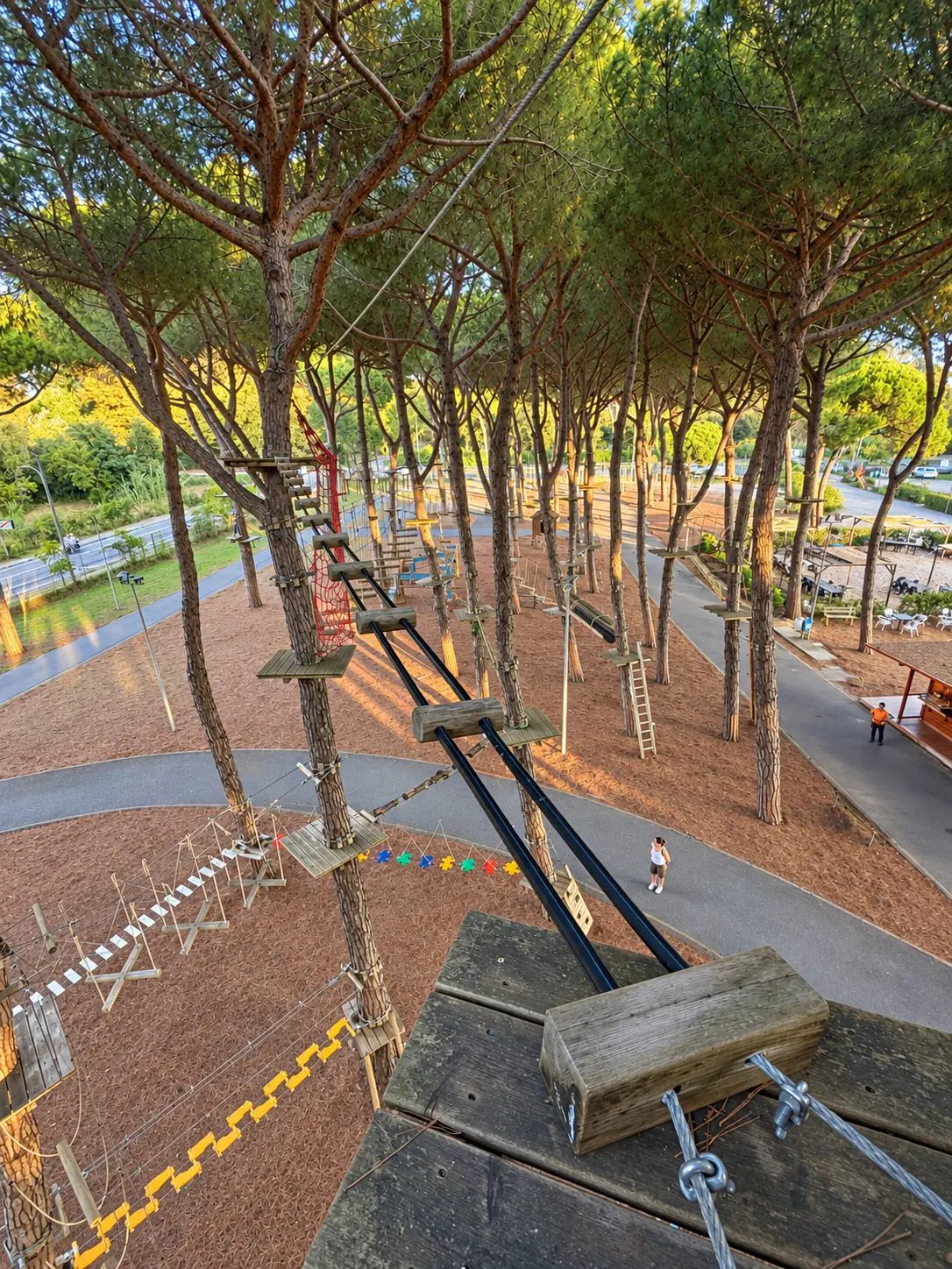 Vista dall’alto di un percorso avventura tra i pini con piattaforme e ostacoli